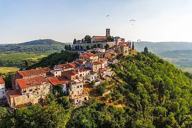 Motovun na brežuljku okružen vinogradima