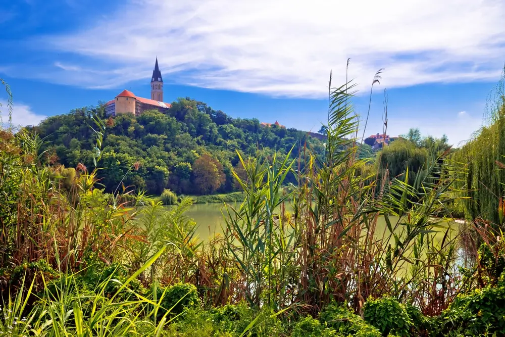 Slavonska ravnica s pšeničnim poljima