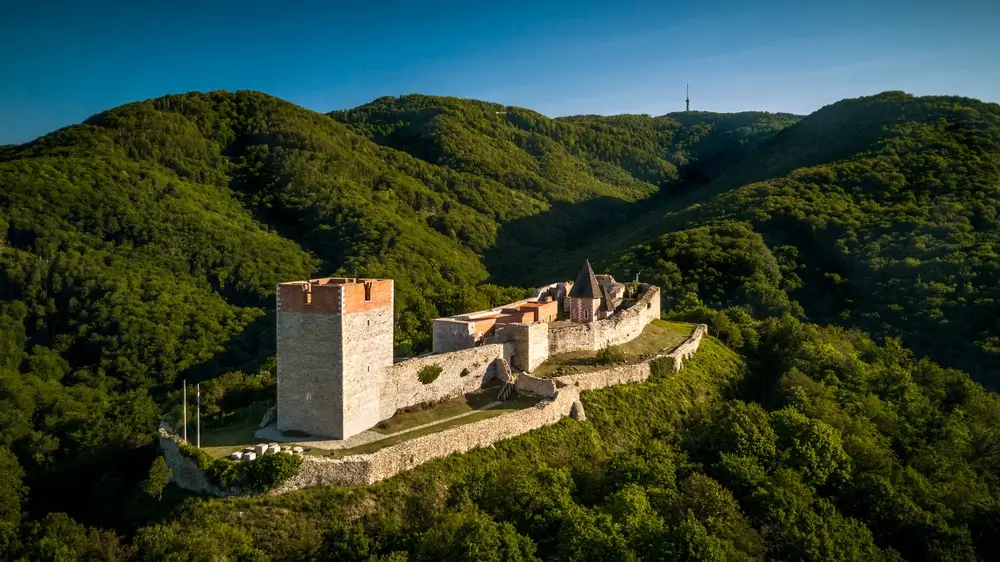 Vinogradi Plešivica